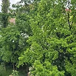 Apartamento Ogarna 3